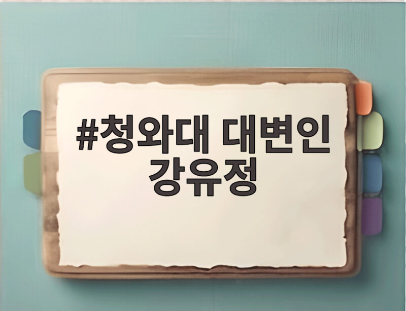 청와대 대변인 강유정 전세 정정 발언과 인사 검증 이야기 1 청와대 대변인 강유정