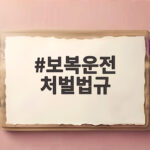 보복운전 처벌법규, 이 정도로 처벌받을 수 있다? 보복운전 처벌법규