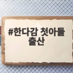 한다감 첫아들 출산 46세에 얻은 늦은 엄마의 꿈 한다감 첫아들 출산