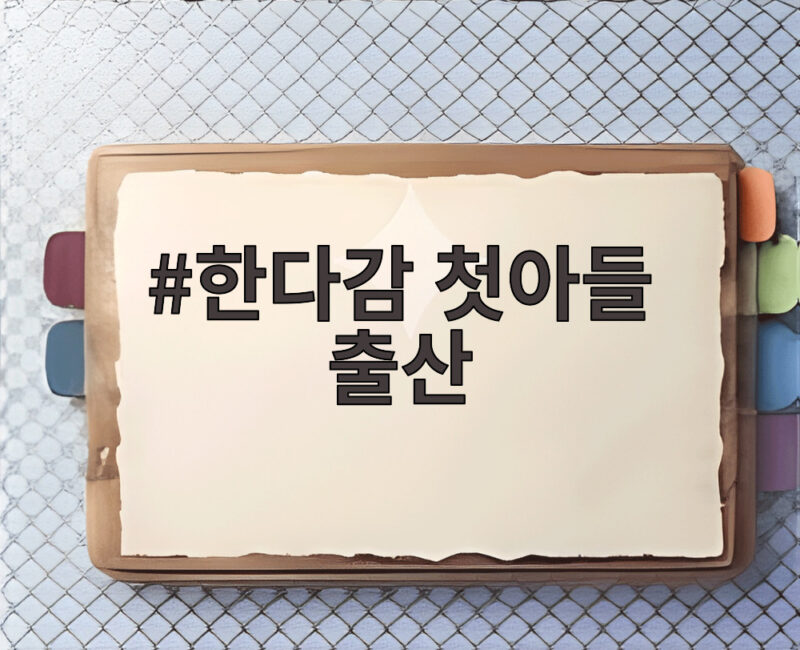 한다감 첫아들 출산 46세에 얻은 늦은 엄마의 꿈 1 한다감 첫아들 출산