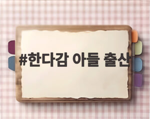 한다감 아들 출산