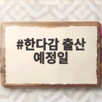 한다감 출산 예정일, 드디어 아들 품에 안았다 한다감 출산 예정일