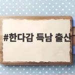 한다감 득남 출산 46세 연예계 최고령 산모가 아들을 품었다 한다감 득남 출산