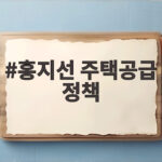 홍지선 주택공급 정책