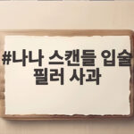 나나 스캔들 입술 필러 사과 논란 정리하고 앞으로의 활동 응원합니다 나나 스캔들 입술 필러 사과