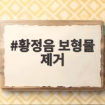 황정음 보형물 제거