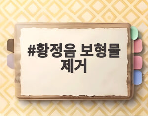 황정음 보형물 제거