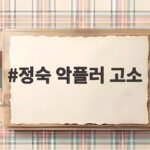 정숙 악플러 고소, 생후 5개월 아들 지킨 법적 대응 과정 살펴보니 정숙 악플러 고소