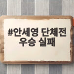 안세영 단체전 우승 실패 아시안게임 일본전 아쉬움과 개인전 기대 안세영 단체전 우승 실패