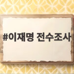 이재명 전수조사 농지 투기 뿌리 뽑는 정책 어디까지일까 이재명 전수조사