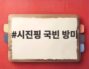 시진핑 국빈 방미