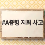A중령 지뢰 사고