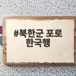 북한군 포로 한국행 사실상 인정, 20개월 만의 귀환 과정 살펴보니 북한군 포로 한국행