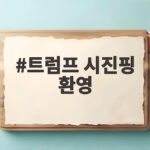 트럼프 시진핑 환영 공항 직접 영접 의미와 정상회담 전망 트럼프 시진핑 환영