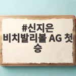 신지은 비치발리볼 AG 첫 승 비키니 악플 딛고 감동의 승리 신지은 비치발리볼 AG 첫 승