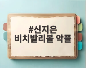 신지은 비치발리볼 악플