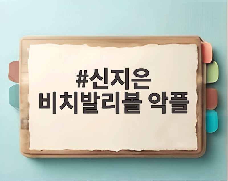 신지은 비치발리볼 악플을 딛고 아시안게임 첫 승리를 이뤘다 1 신지은 비치발리볼 악플
