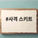 사격 스키트 결선에서 살아남는 방식과 한국 선수 이야기 사격 스키트