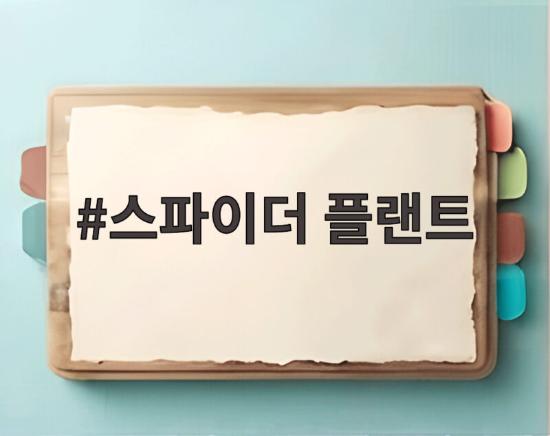 스파이더 플랜트와 폴리에스터 Z세대의 조롱 문화를 알다 1 스파이더 플랜트