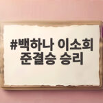 백하나 이소희 준결승 승리 일본 꺾고 결승 진출 금메달 보인다 백하나 이소희 준결승 승리