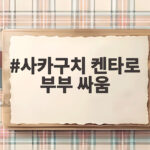 사카구치 켄타로 부부 싸움 결혼 10일 만에 경찰 출동이라니 사카구치 켄타로 부부 싸움