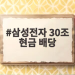 삼성전자 30조 현금 배당 막차 타려면 오늘까지 사야 하는 이유 삼성전자 30조 현금 배당