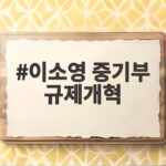 이소영 중기부 규제개혁 장관 승부수 정책 방향 살펴보니 이소영 중기부 규제개혁