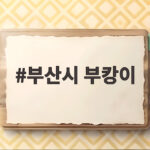 부산시 부캉이 드디어 바다로 복귀 29일 외해 유도 작전 총정리 부산시 부캉이
