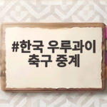 한국 우루과이 축구 중계