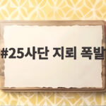 25사단 지뢰 폭발 사고 수색 범위와 안전 규정 진실 공방 25사단 지뢰 폭발