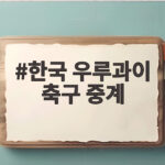 한국 우루과이 축구 중계 오늘 밤 8시 어디서 볼까 한국 우루과이 축구 중계