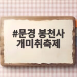 문경 봉천사 개미취축제, 보랏빛 가을 물결 속으로 초대합니다 문경 봉천사 개미취축제