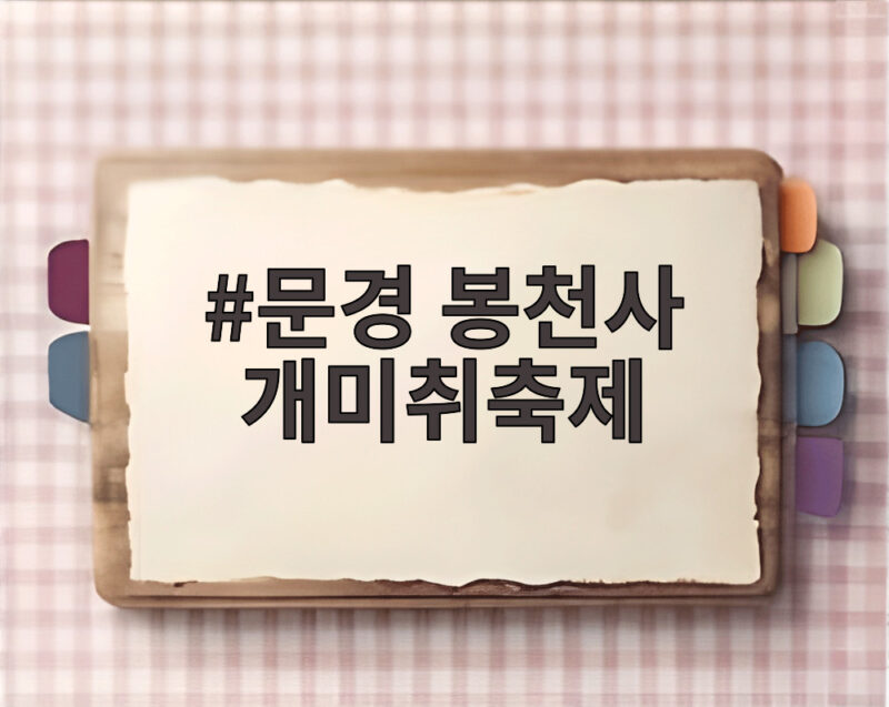 문경 봉천사 개미취축제, 보랏빛 가을 물결 속으로 초대합니다 1 문경 봉천사 개미취축제
