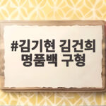 김기현 김건희 명품백 구형