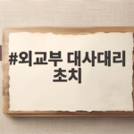 외교부 대사대리 초치와 우크라이나 북한군 포로 송환 논란 외교부 대사대리 초치