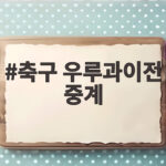 축구 우루과이전 중계 오늘 밤 8시 서울월드컵경기장에서 놓치지 마세요 축구 우루과이전 중계