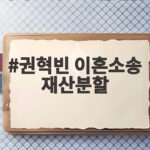 권혁빈 이혼소송 재산분할