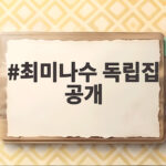 최미나수 독립집 공개, 이준의 정체를 맞힐 수 있을까? 최미나수 독립집 공개