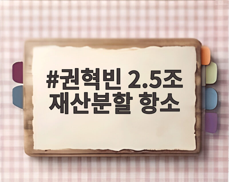 권혁빈 2.5조 재산분할 항소