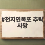 천지연폭포 추락 사망 사고 관광객 안전은 지켜졌나 천지연폭포 추락 사망