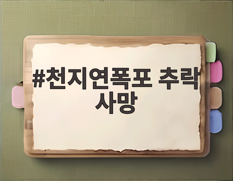 천지연폭포 추락 사망 사고 관광객 안전은 지켜졌나 1 천지연폭포 추락 사망