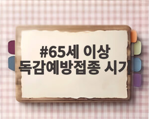 65세 이상 독감예방접종 시기