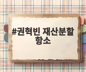 권혁빈 재산분할 항소