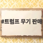 트럼프 무기 판매 제안 부인, 중국과의 협상은 어떻게 되나 트럼프 무기 판매