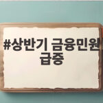 상반기 금융민원 급증