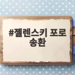젤렌스키 포로 송환 공개 배경과 외교적 파장 이해하기 젤렌스키 포로 송환