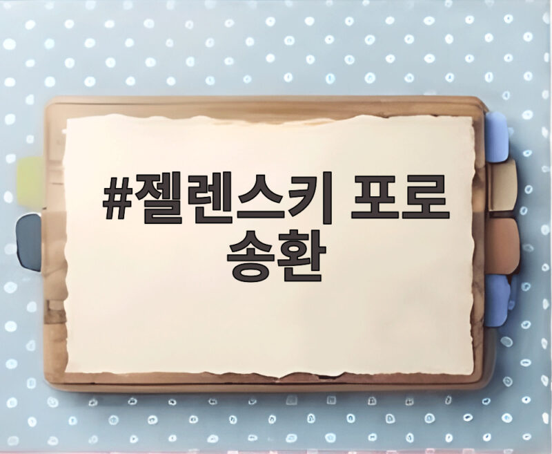 젤렌스키 포로 송환