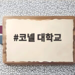 코넬 대학교 사교클럽 집단 성폭행 의혹 한인 학생 포함 논란 코넬 대학교