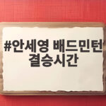 안세영 배드민턴 결승시간 확정 사상 첫 2연패 도전 안세영 배드민턴 결승시간