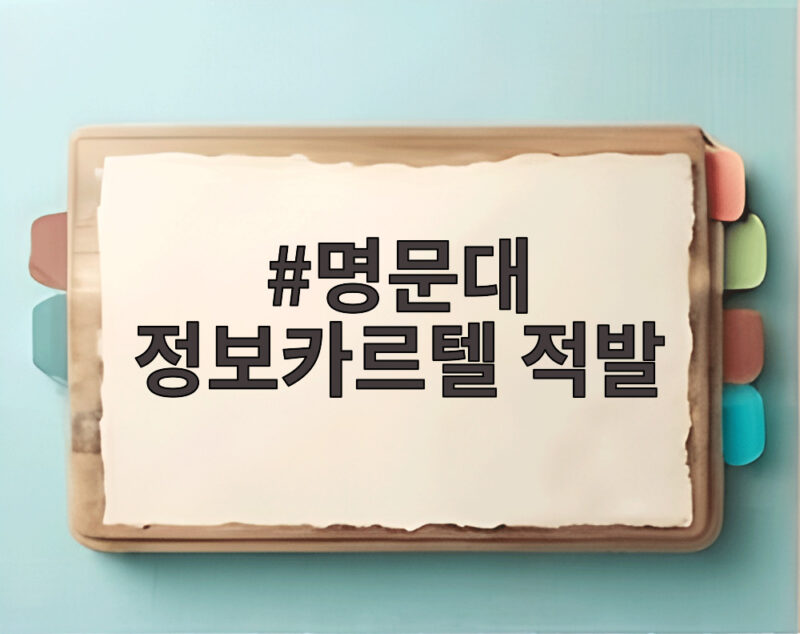 명문대 정보카르텔 적발 200억 부당이득 충격 실체 1 명문대 정보카르텔 적발